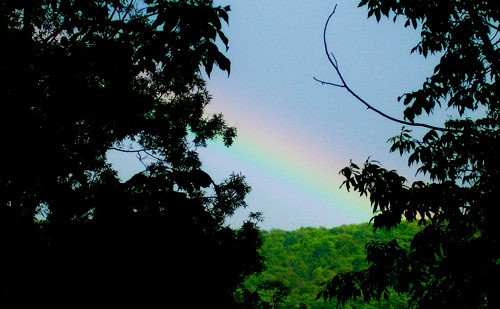 rainbow